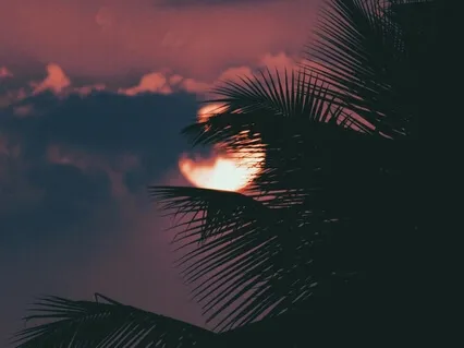 Hypnotic Dusk (Binaural Beats Theta)