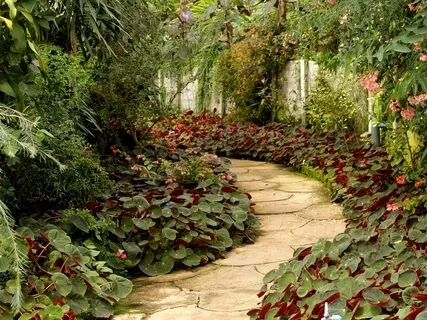 Guided Garden Journey