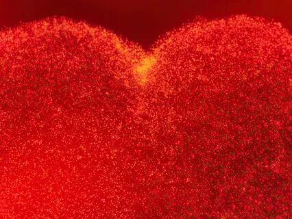 Hypnotic Heartbeat Music