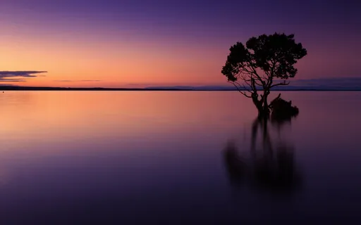 Hypnotic Music To Relax & Relieve Anxiety