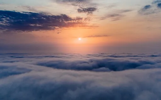 Hypnotic Pisces Wonder