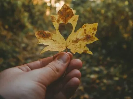 Flow State: The Heart Opening Way To Inner Heal & Relax