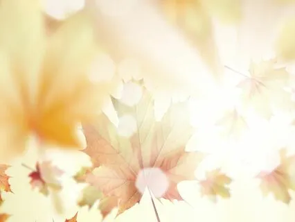 Guided Visualisation For Joyful Sober Socialising