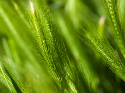 I Absolutely Believe That This Universe Is A Friendly And Loving One