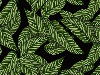 I Accept Myself Just As I Am