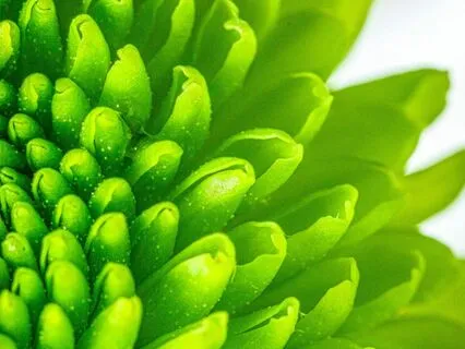 I Accept Myself - Musical Manifestos Series