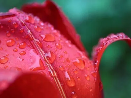 I Allow Myself – Musical Manifestos Series