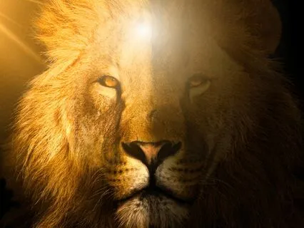 I Am A Lion - Affirmations For Kids