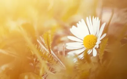 I Am A Nice Person Affirmations