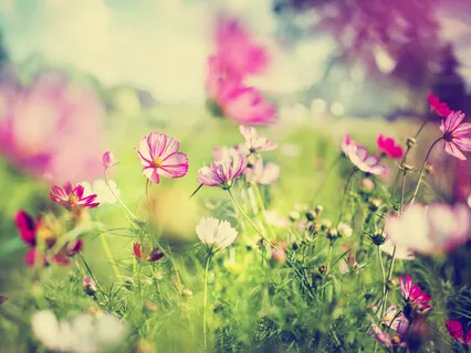 I Am A Powerful Creator - Day 17