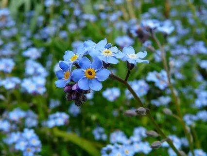 I Am - A Quiet Truth - May 16