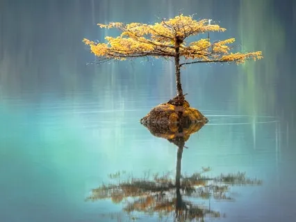 I Am a Reflection of You