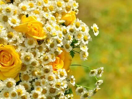 I Am Abundant Affirmations