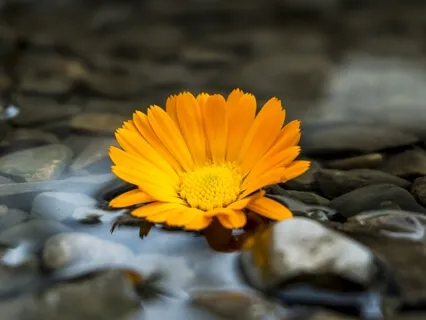 I Am Affirmation Meditation