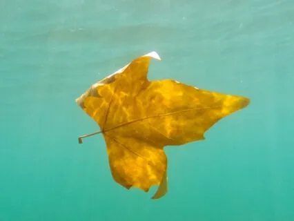 Uplifting 'I AM' Affirmations To Boost Your Mood