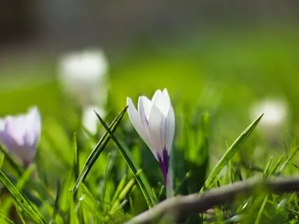 I Am Affirmations: Anxiety Relief