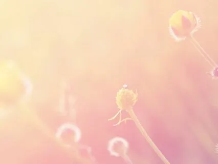 I AM Affirmations: Divine Connection, Self-Love, Confidence