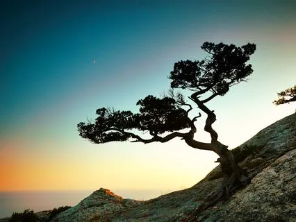 I AM Affirmations: Face Challenges With Courage & Resolve