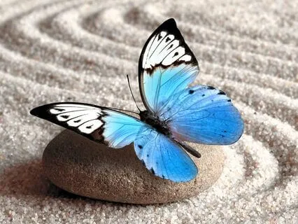 Sleep Meditation For Positivity Confidence & Success