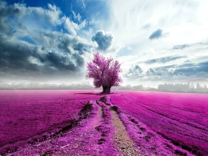 I AM Affirmations: Gratitude & Self Love