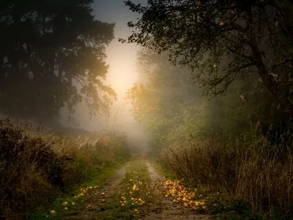 I Am Affirmations - Health And Healing 