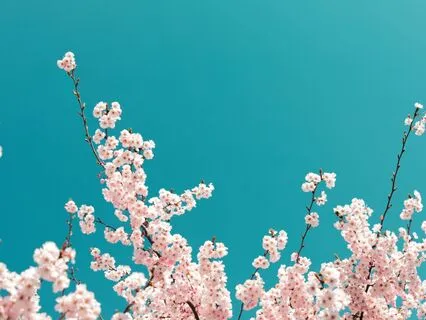 I Am Affirmations: Renewal & Growth