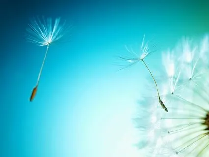 I AM Affirmations: Overcome Bad Habits & Boost Self-Control