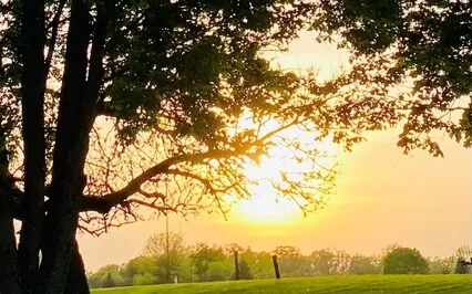 I AM Affirmations To Manifest Abundance 