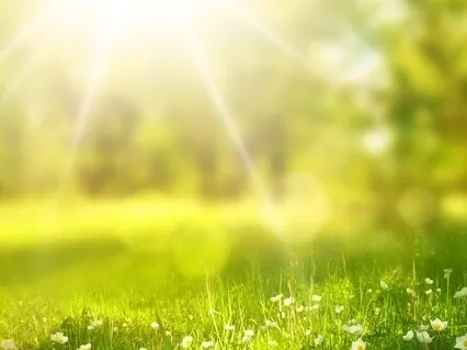 I AM - An Anchor In Times Of Uncertainty