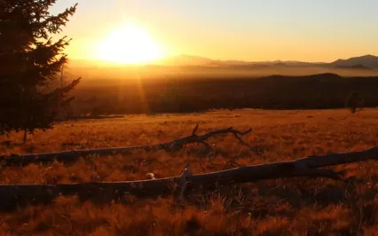 I Am Anxiety Free - Affirmation Song