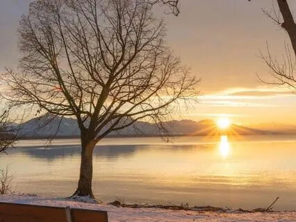 I Am Attracting: 21 High-Frequency Affirmations