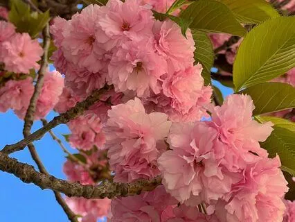 I Am Beautiful Affirmations