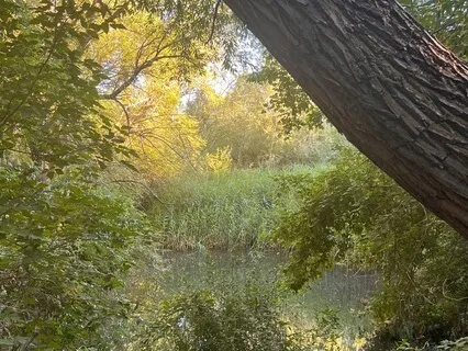 I Am Beautiful, I Am Divine