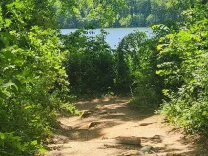 I Am Becoming: Grace For The Journey