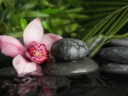 I Am Beyond The Bones