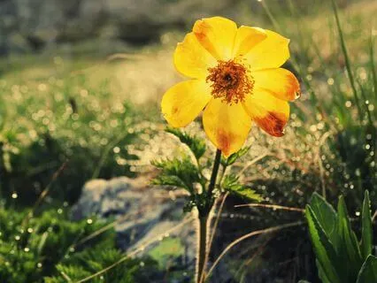 I Am - Collaboration Instead Of Competition