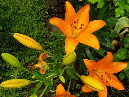 'I Am' Confidence-Boosting Affirmations