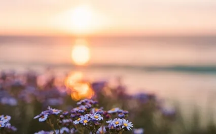 I Am Connected To The Grace Of God. ( Piano)