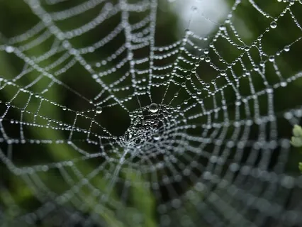 I Am Connected To The Source Of All There Is 