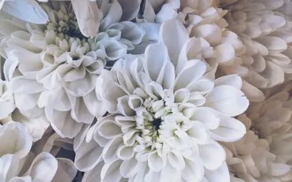 I Am Divine - Crown Chakra Energy Clearing Meditation