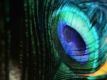 I AM Divine Love  | Sound Healing Heart Chakra Meditation