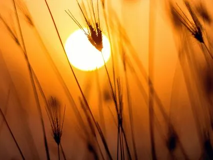 I am Done - Evening Affirmations