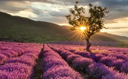 I Am ... 111 Health Affirmations