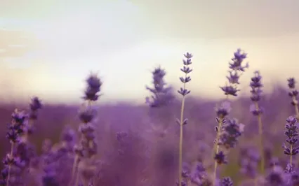 I Am ... - 111 Self Love Affirmations