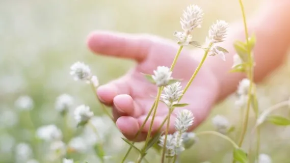 I Am Enough  - 21 Min Daily Insight