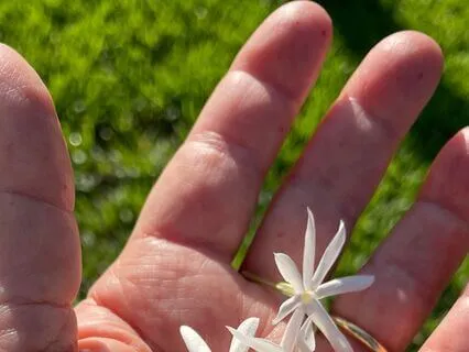 I Am Enough ... A Self-Care Reiki Reflection