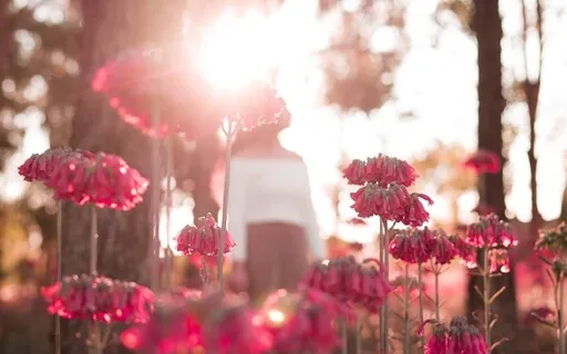 I Am Enough - Empowering Affirmations With Chimes