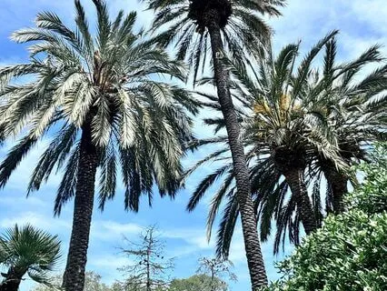 I Am Enough, I Have Enough, I Do Enough Affirmations