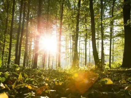 I Am Enough Just As I Am ~ Short Meditation For Self-Love