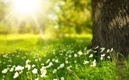 I Am Enough - Letting Go Of Old Trapped Emotions